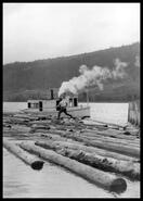 Maud Allen boat with log boom
