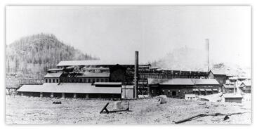Greenwood smelter, general view