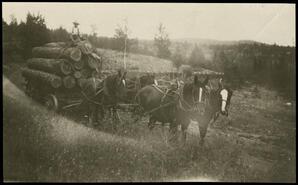Logging with wagon & team at Ellison