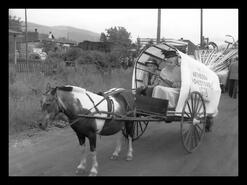 Children in horse and cart for parade for Enderby's 50th anniversary