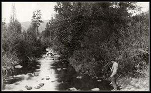 Fishing scenes - Siwash Creek