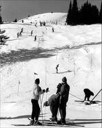 Skiers on Silver Star Mountain