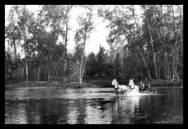 Horses and wagon crossing the Kettle River at Bubar ford