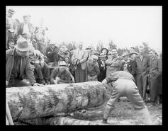 Log cutting competition
