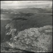 Aerial view of forest cover