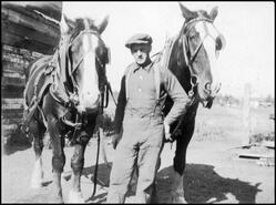 A.C. Skaling and team of horses