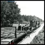 Continuous welded rail train near Rennie, Ontario