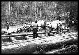 Man and horse moving logs at unidentified road camp