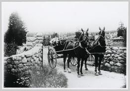 R.H. Agur in horse-drawn buggy