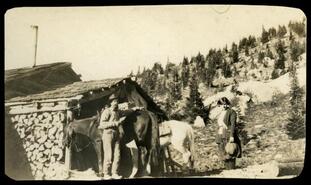 D.B. O'Neail and Elsie Rogers with horses at the Little Tim Mine, Springer Creek