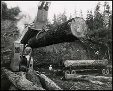 Heel boom loader in Oregon