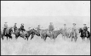 Group of cowboys on horses rounding up cattle